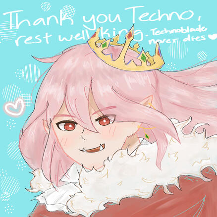 Thank you Technoblade